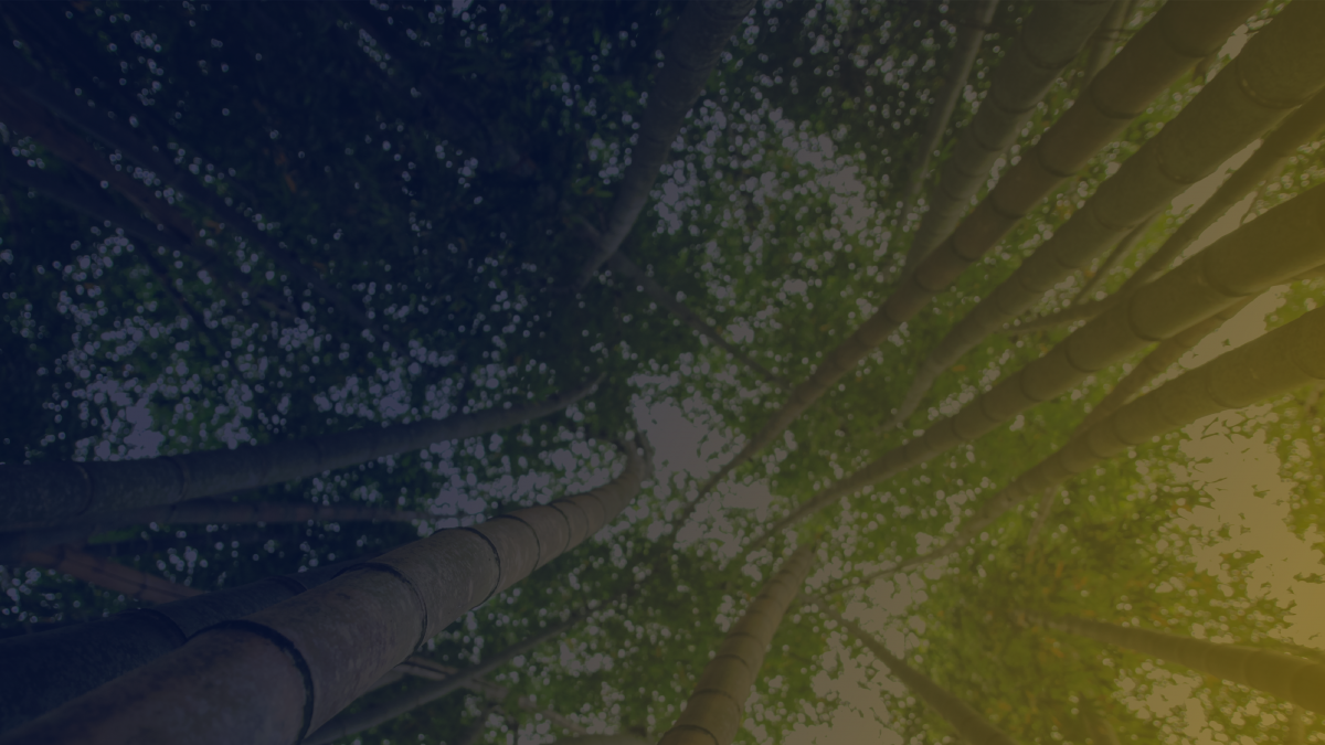 O Brasil precisa planejar seu crescimento. E com urgência!